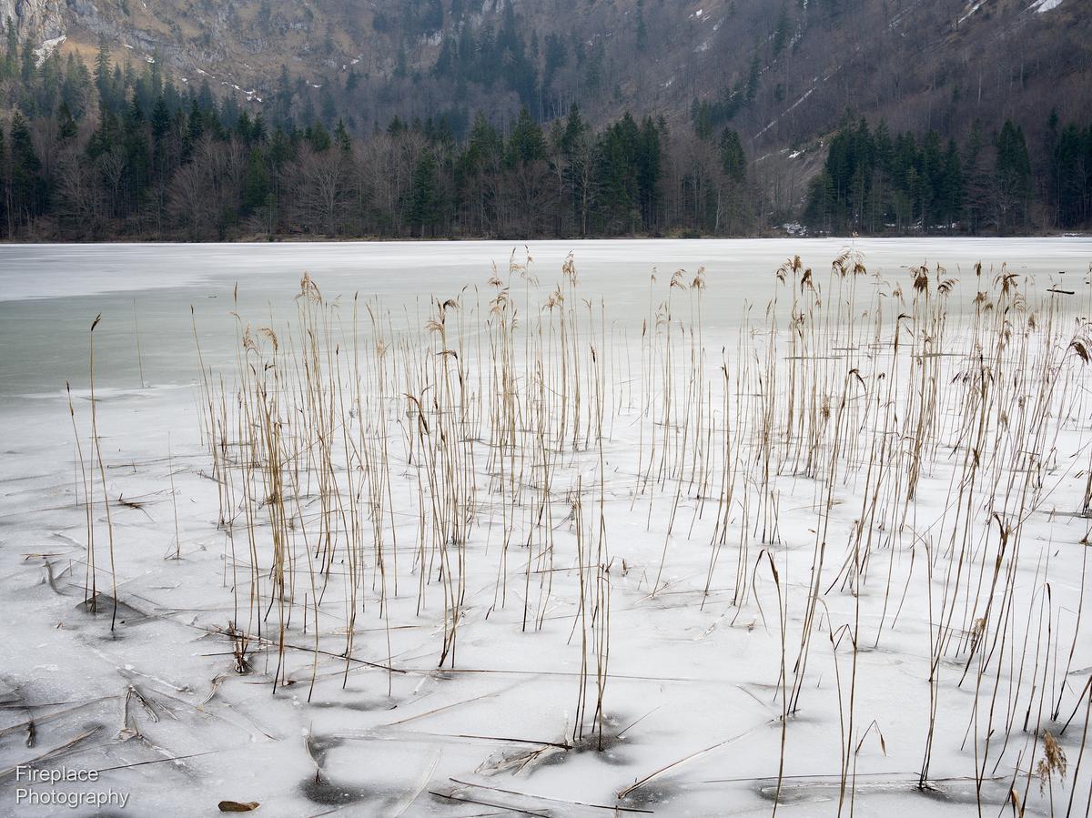 DSC_2618 smaller.JPG