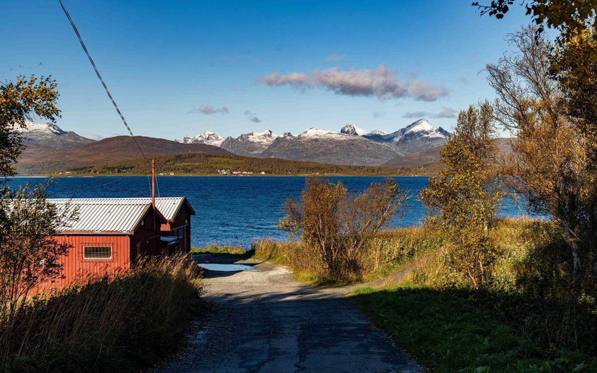 2025 Norway s (1 of 1).jpg