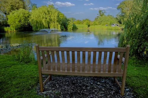 A lonely bench needing someone.jpg