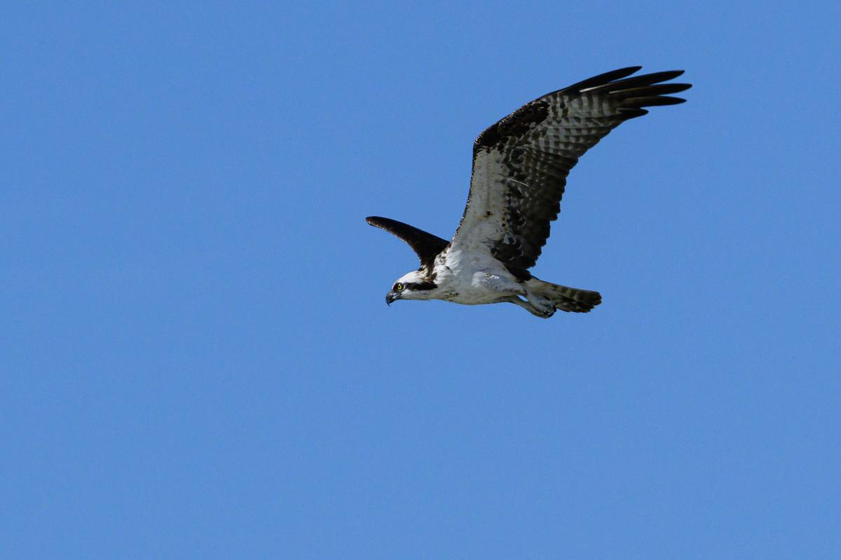 Vacation FM 2025-395.jpg