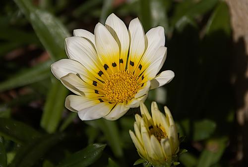 IMG_8891.jpg