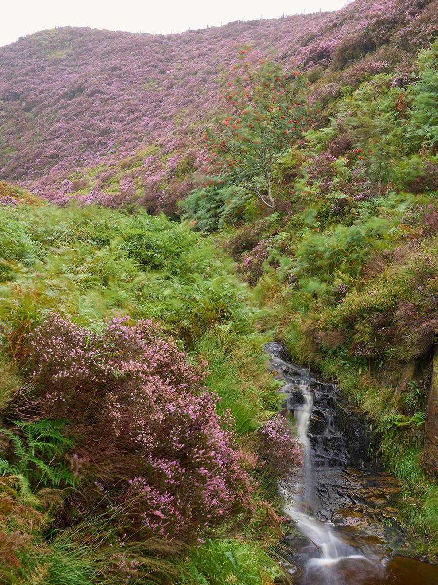 P9020046.jpg