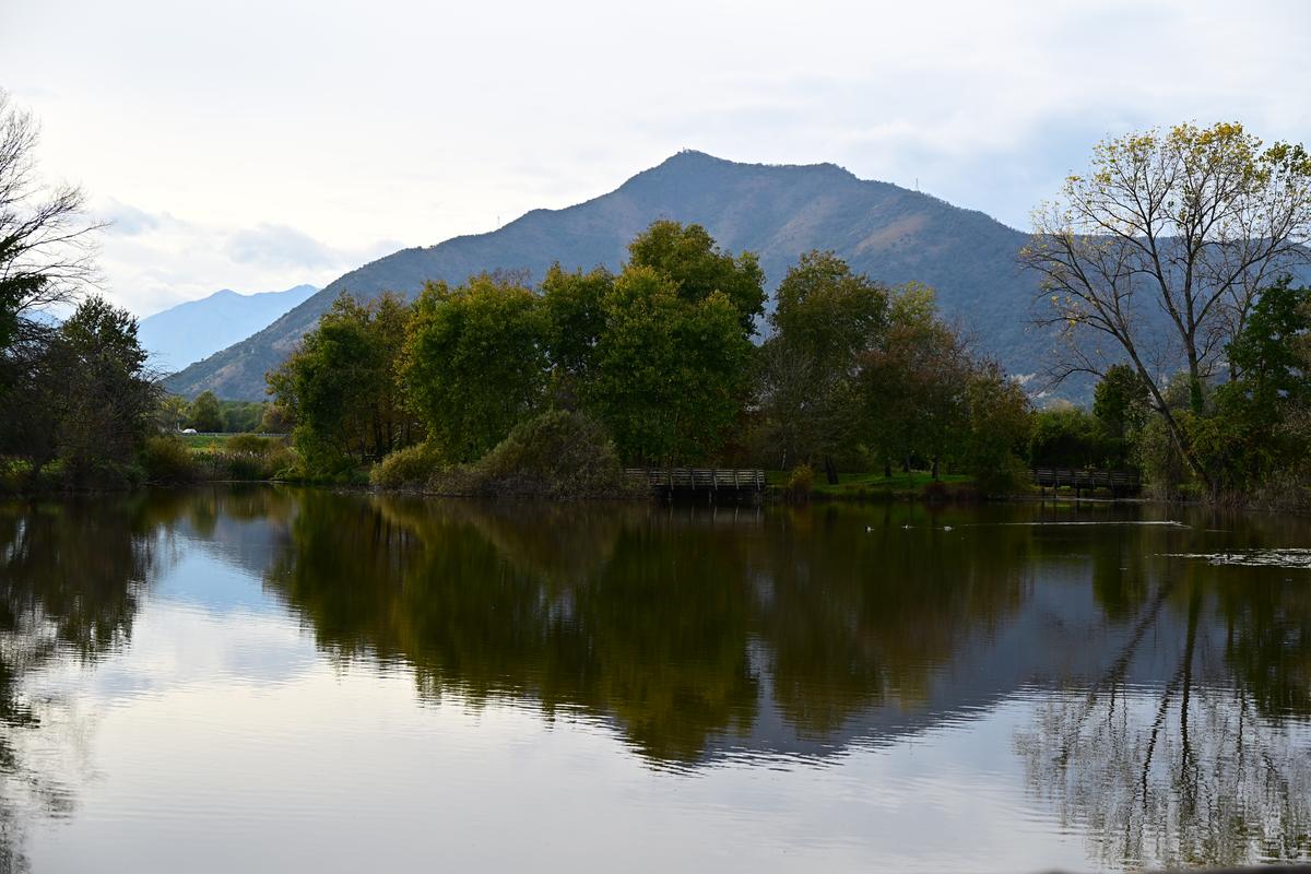 2025-10-25 16.02.01-1_Zf.jpg