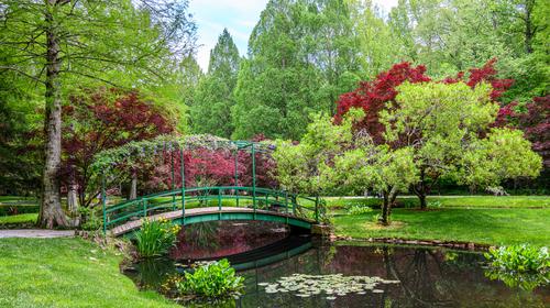 Gibbs Gardens 20250427 - 1180.jpg