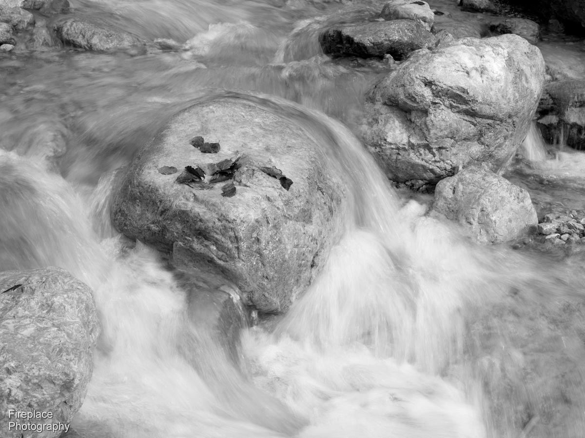 DSC_1628 smaller.JPG