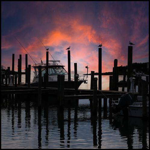 5-9-23 - The harbor at dusk - 2.jpg