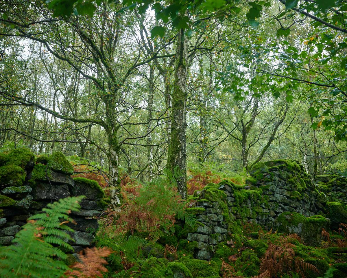 DSC_8461 1.jpg