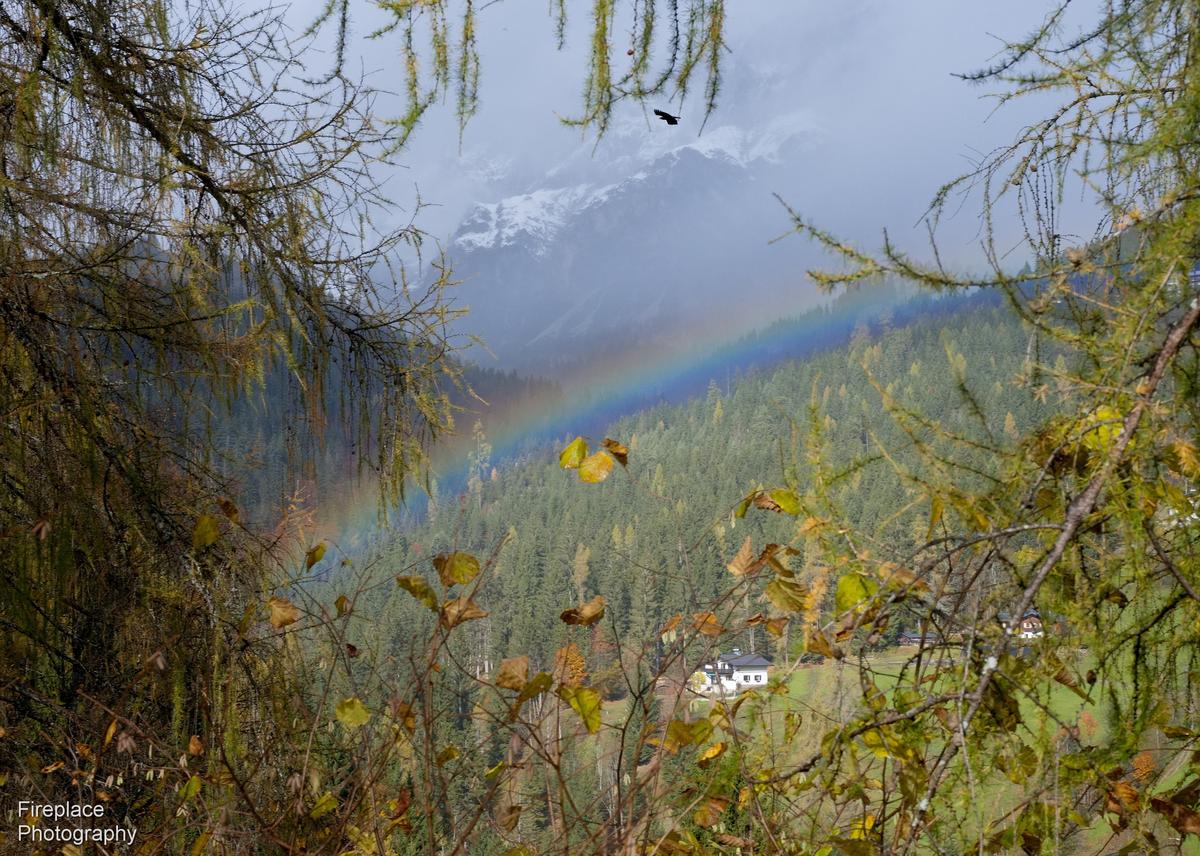 DSC_1706 smaller.JPG