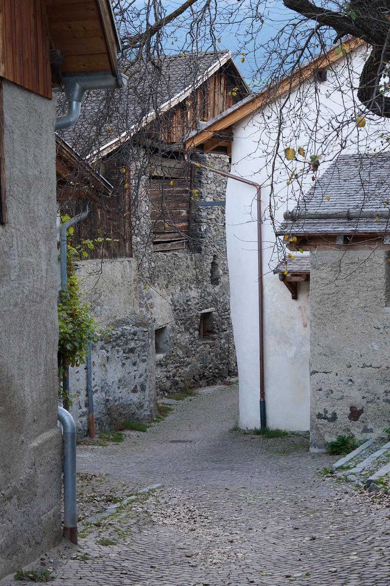 8DS_0382.jpg