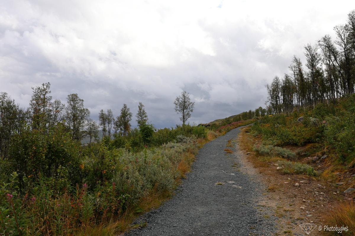 62B_9054.jpg