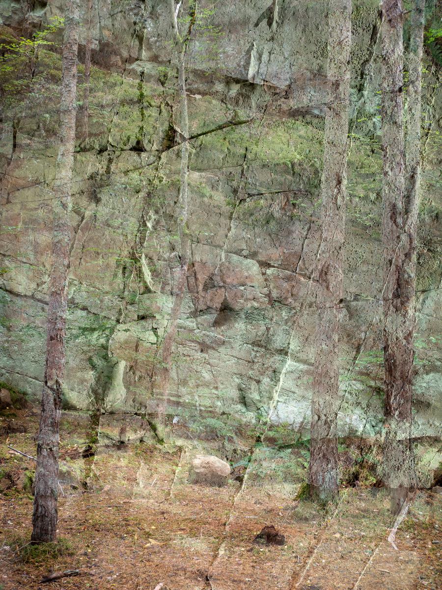 PA106734.jpg