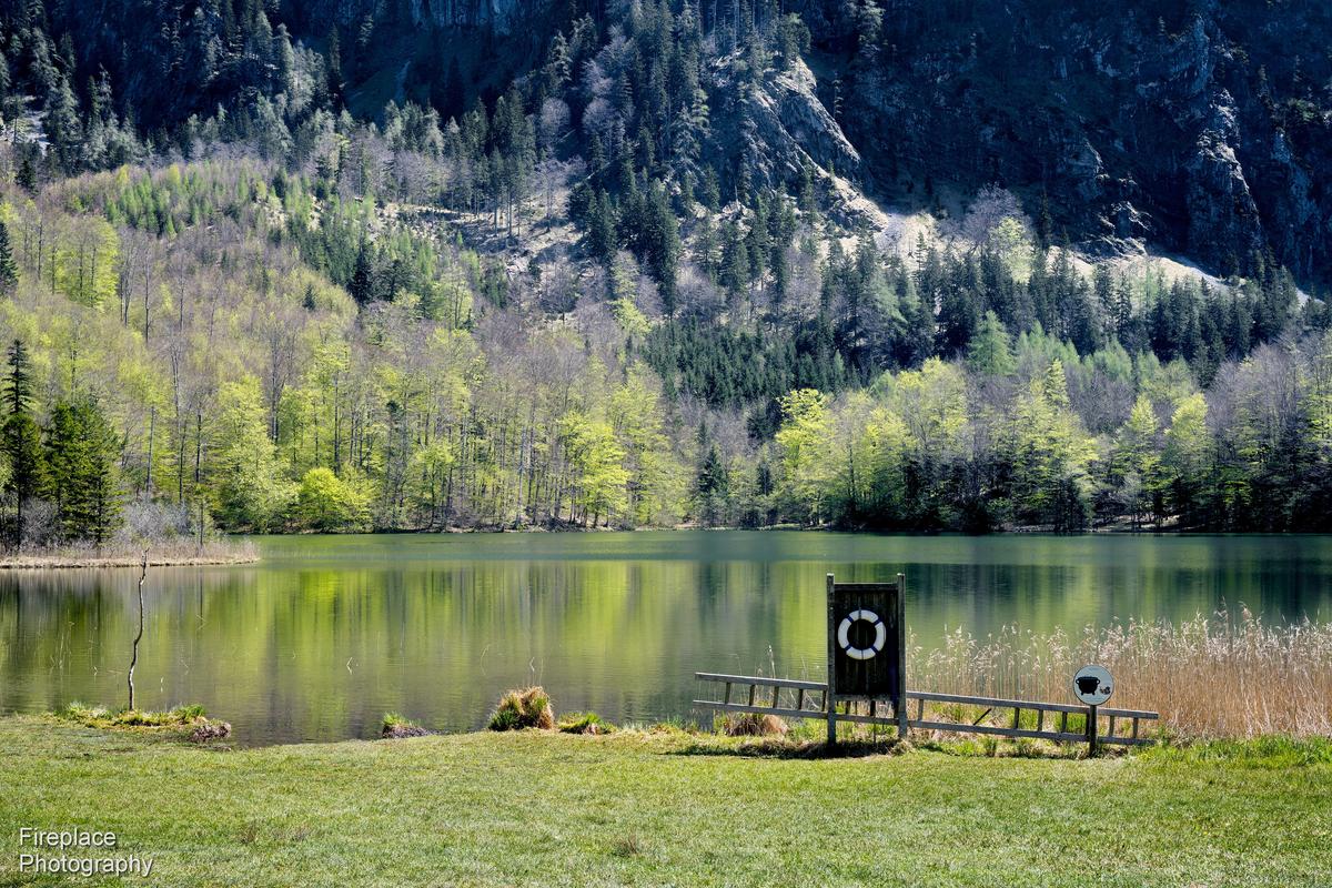 DSC_8872 smaller.JPG