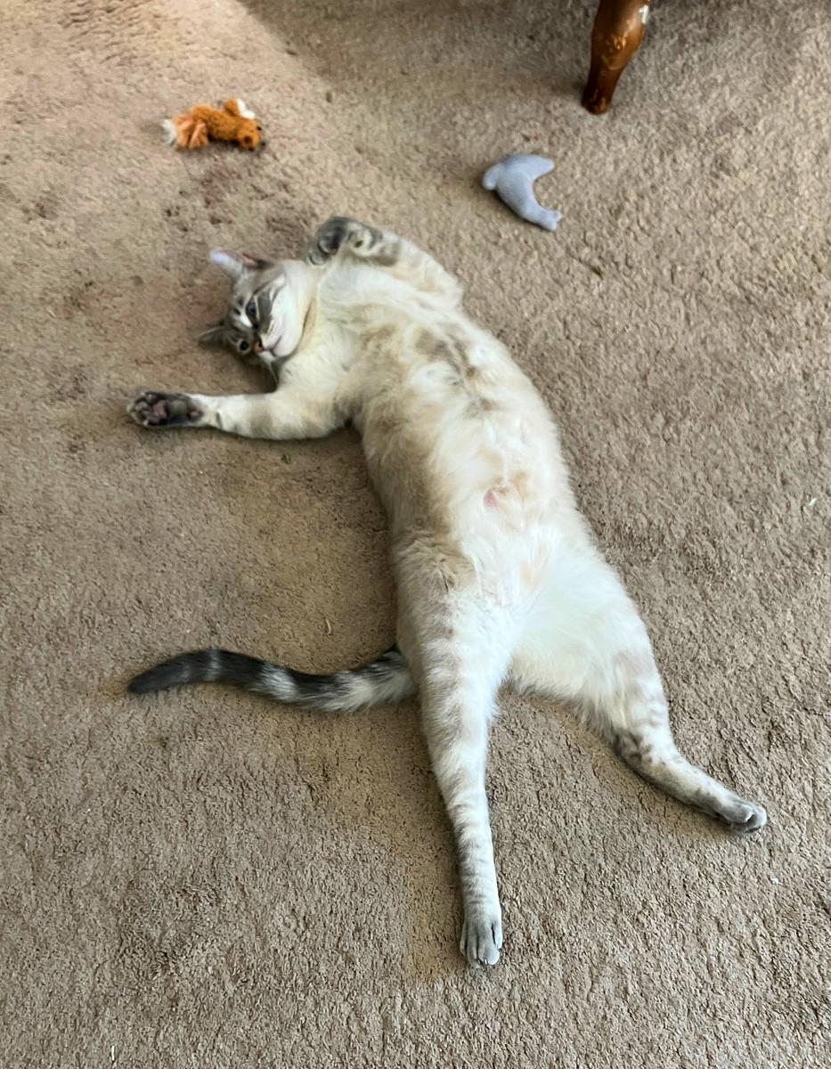 arni stretch.jpg