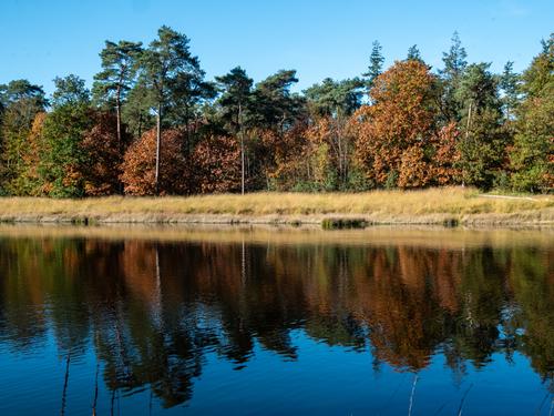 Autumn Walk by RoelH - WLK-2024101-P1120495-RoelH-LR13-sRGB.jpg