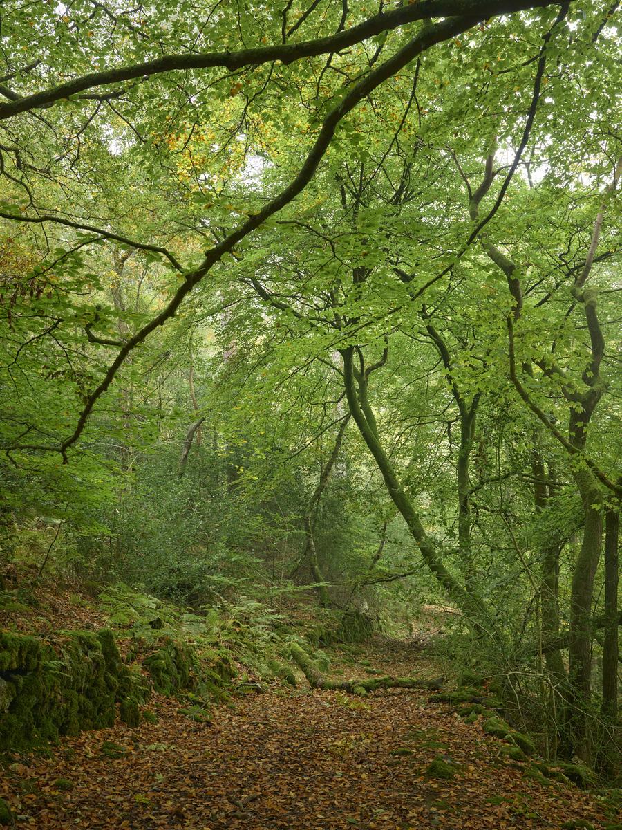 DSC_7852.jpg