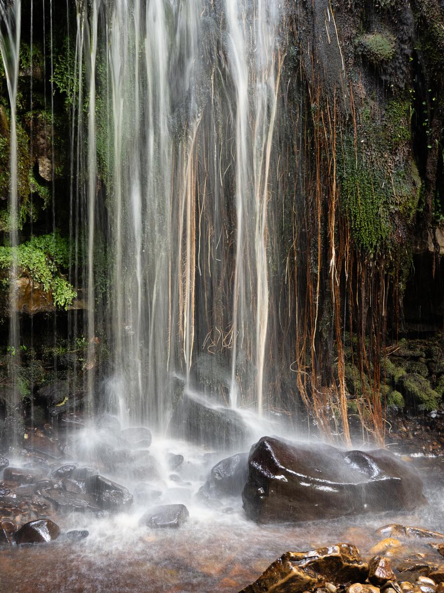 PA077567.3.jpg