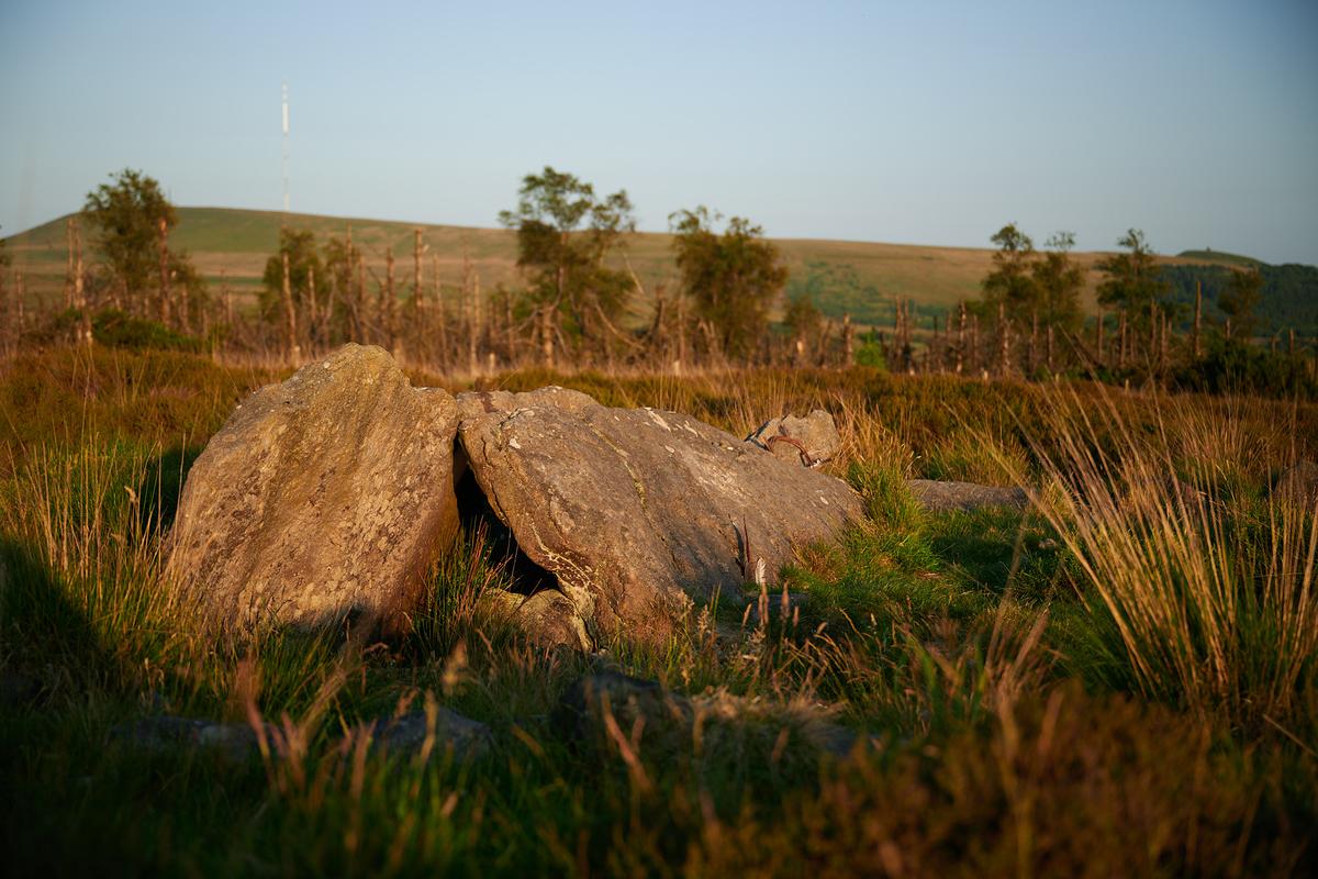 DSC_5479.jpg