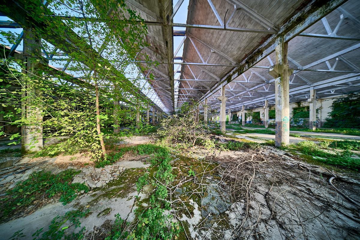 NDS_5526_HDR_1.jpg