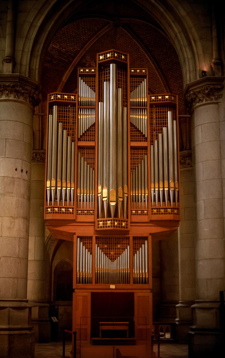 AC_Petri_Orikkor_4-5cm_633 Kopie.jpg