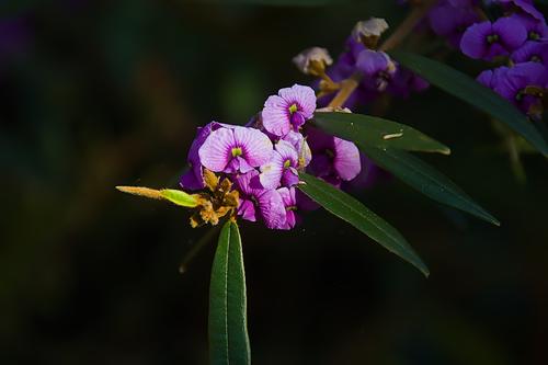 IMG_9560.jpg