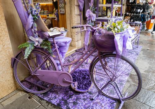 lavendar bike.jpg