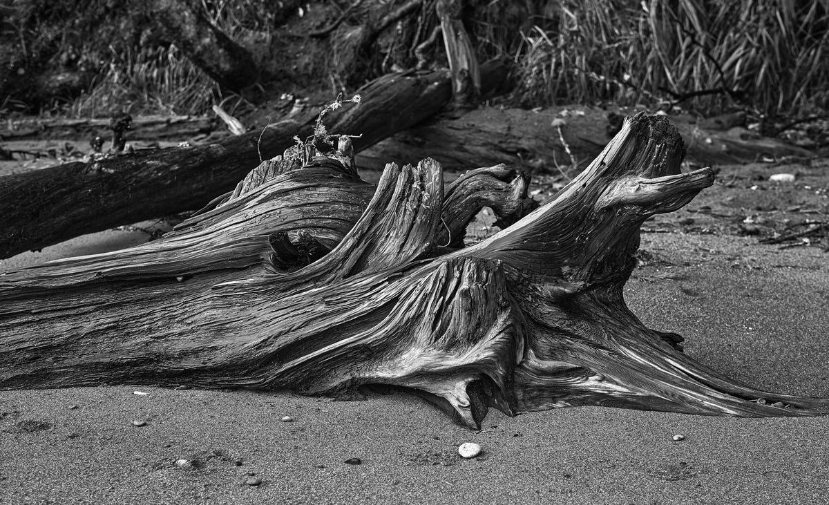 wood-sand-BW.jpg