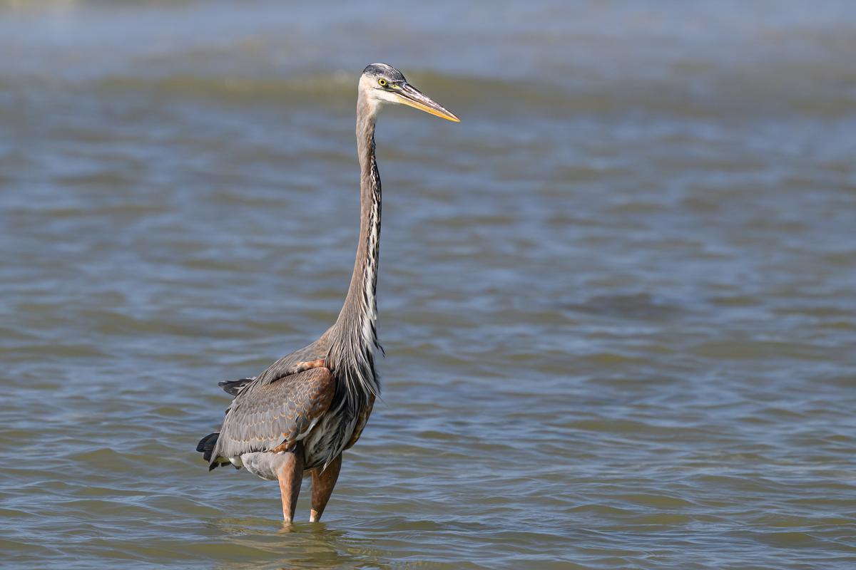 Vacation FM 2025-585.jpg