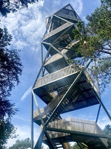 Heide - watchtower by RoelH on Iphone 11- IMG_3107.jpg