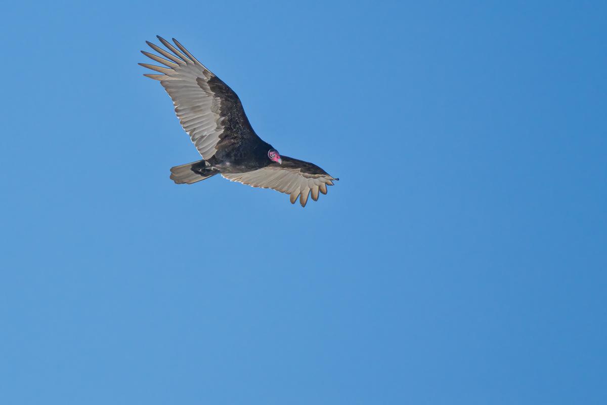 Vacation FM 2025-2521.jpg