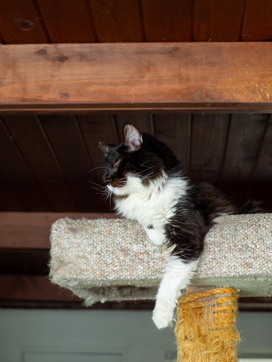 E-M1-#P9301631-178-12.jpg