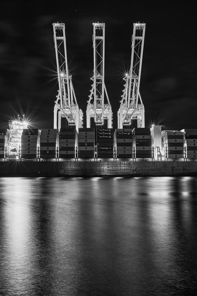 manzanillo-cranes-01-BW2-small.jpg