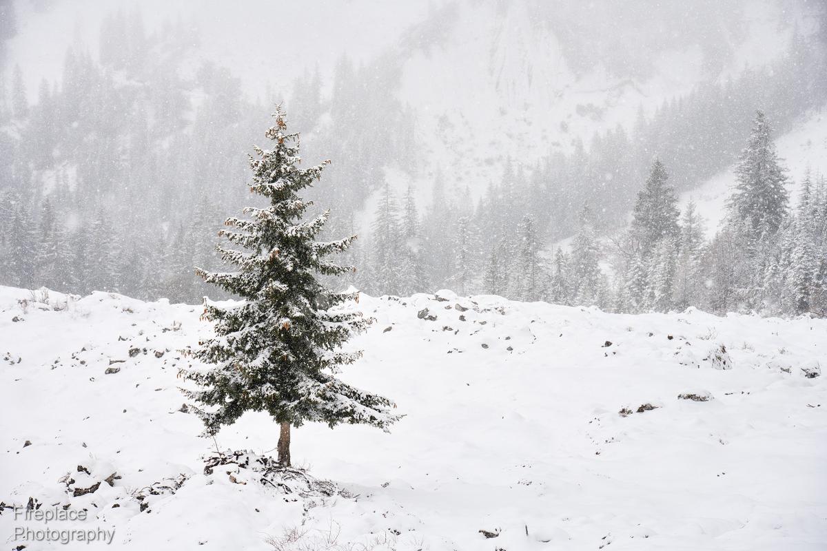 DSC_3324 smaller.JPG