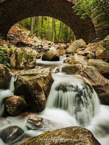 Cobblestone Bridge-15.jpg