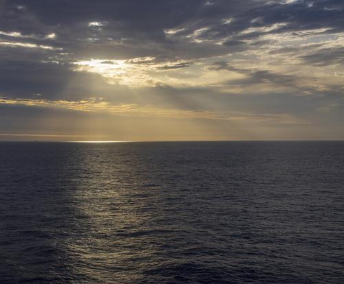 earlyLight_3_v2.jpg