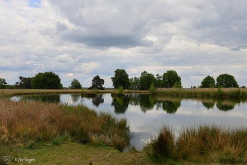 IMG_0373.jpg