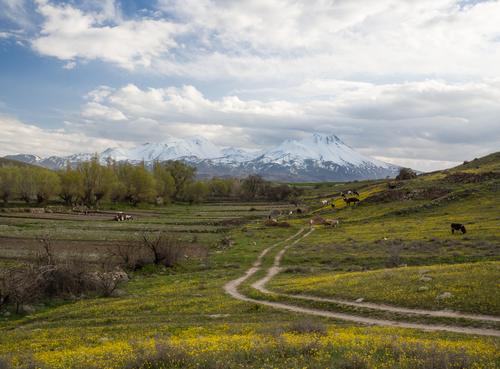 Anatolia_2015-Spring-147.jpg