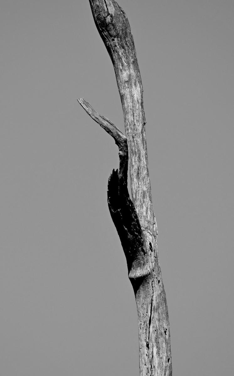 P1339711b.JPG