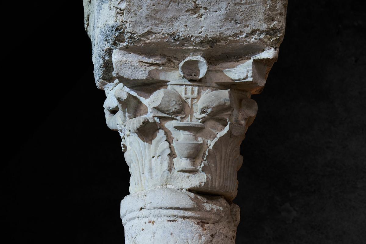 8DS_1833.jpg