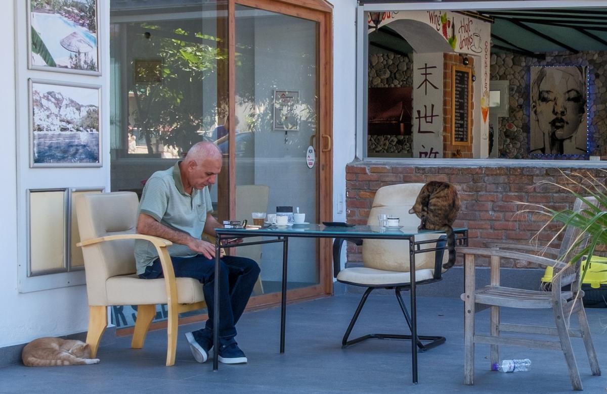 Relaxing with cats.jpg