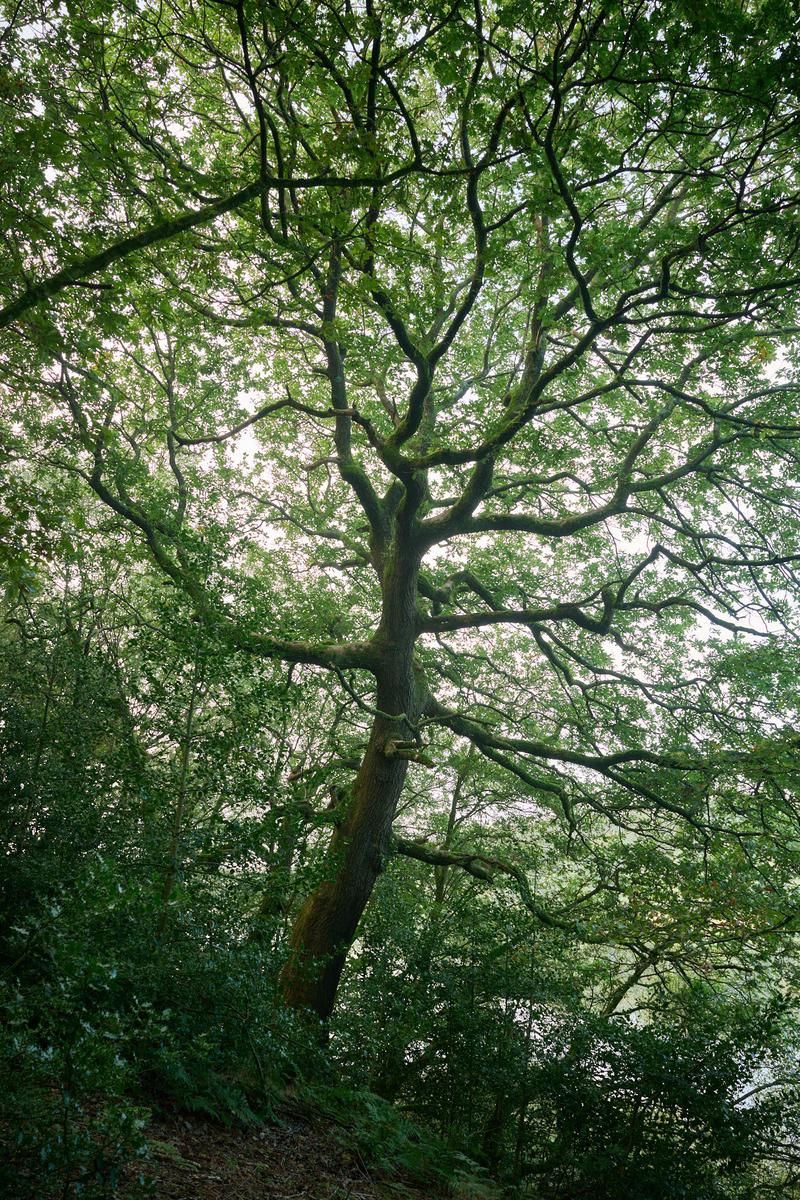 DSC_8064.jpg