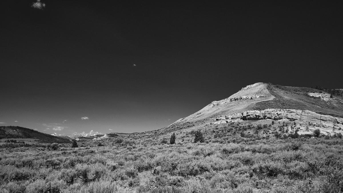 Moose Head-GFRF0507-20250715-08897-topaz.jpg