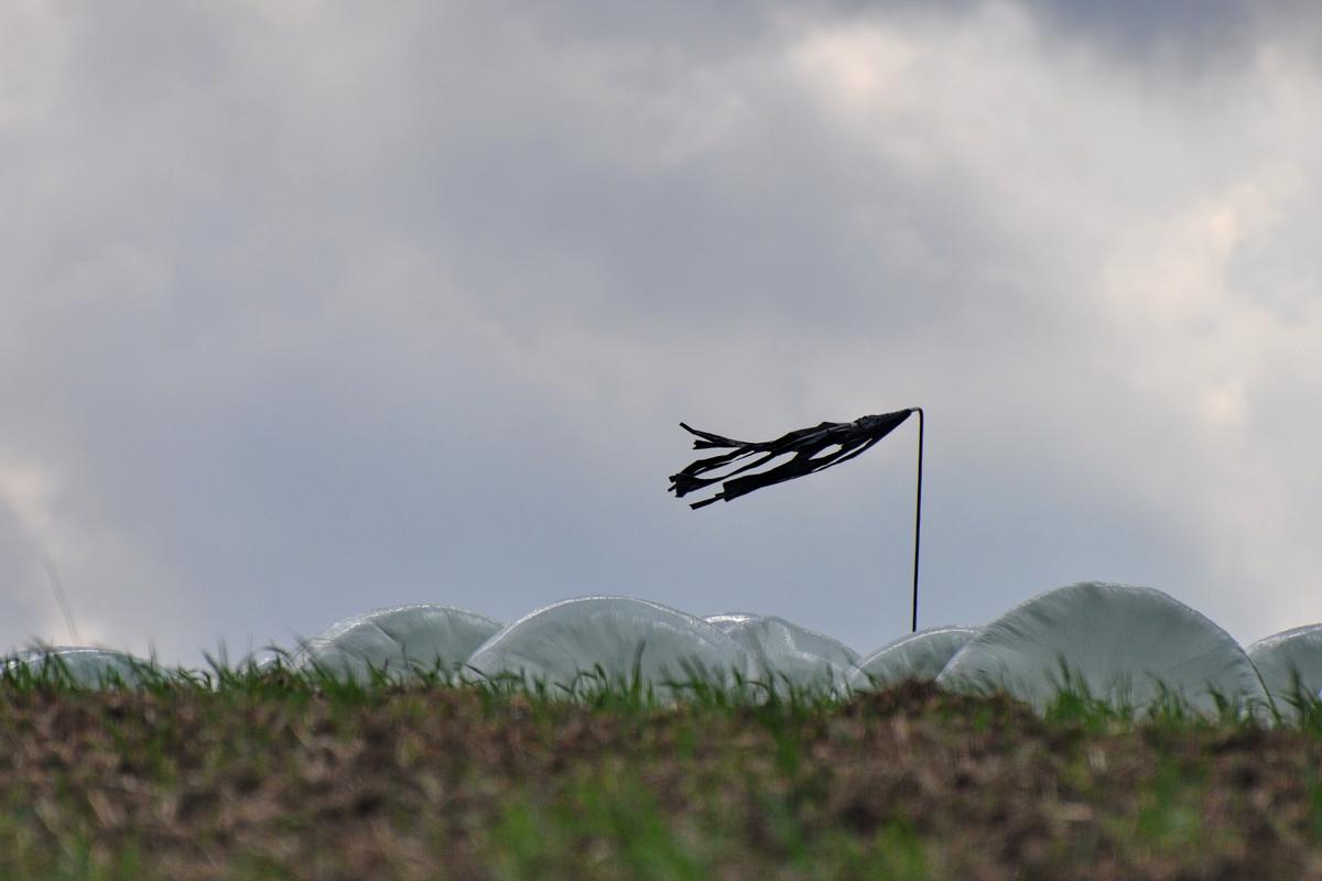 DSC_6314a.JPG