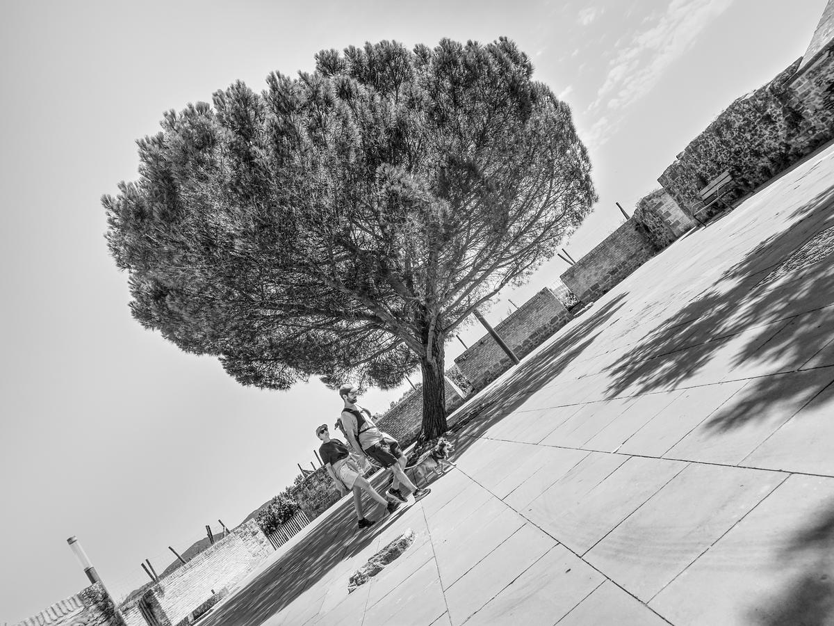 IMG_3601.jpeg