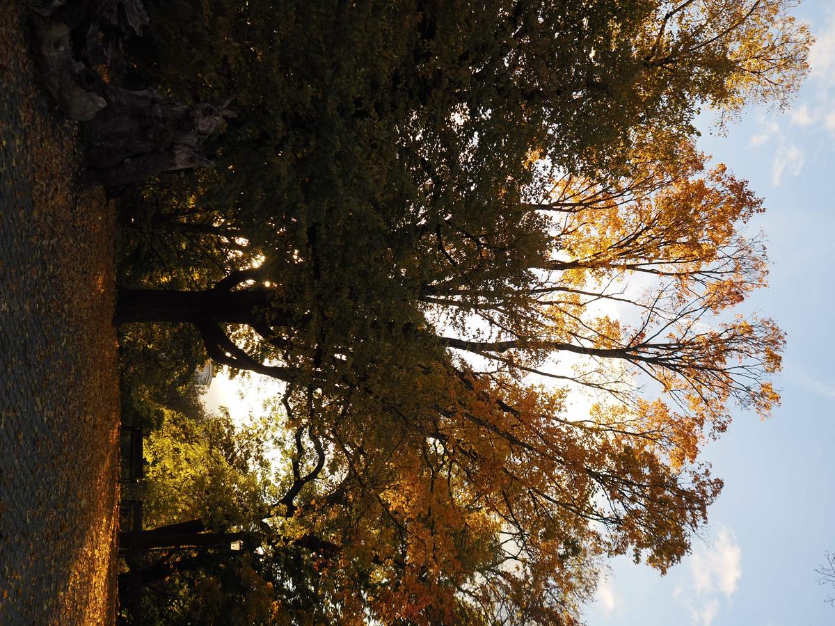 PA190096.JPG