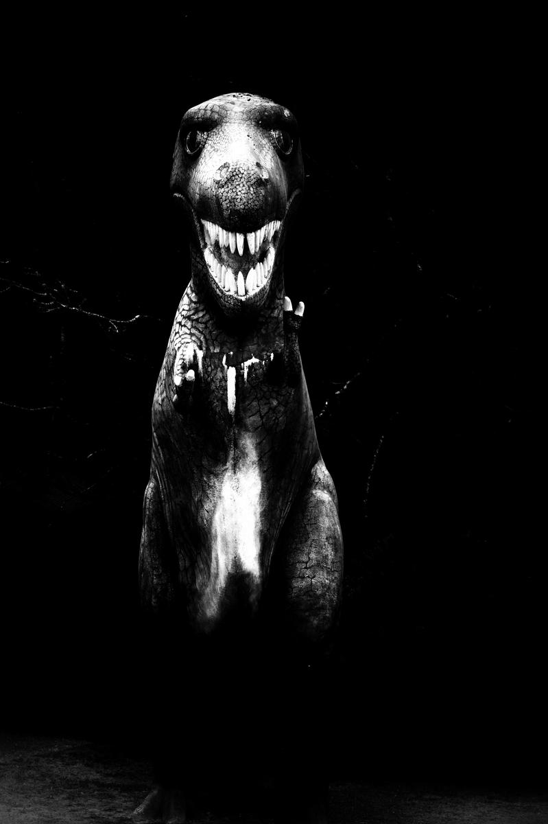 ACR07493~3.jpeg