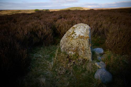 DSC_3160.jpg
