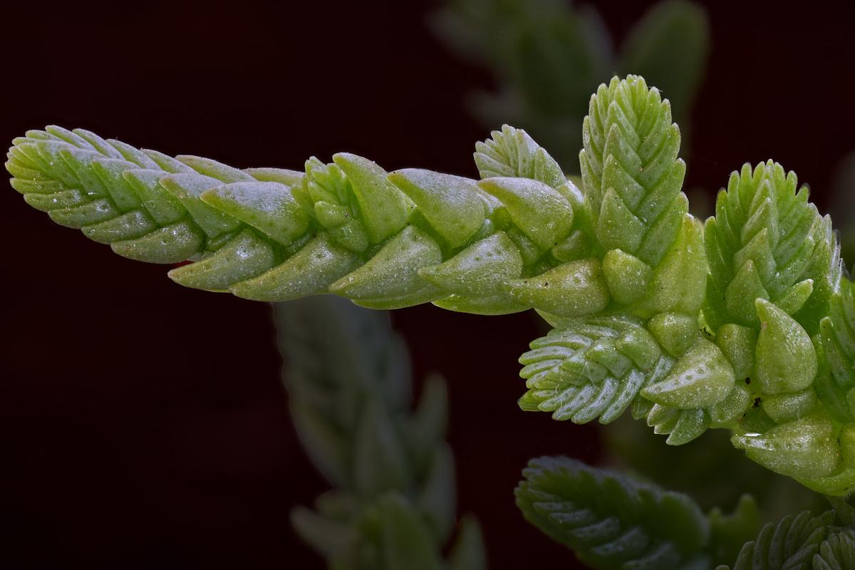 2026-04-17 16-59-29 (B,R5,S5)_1.jpg