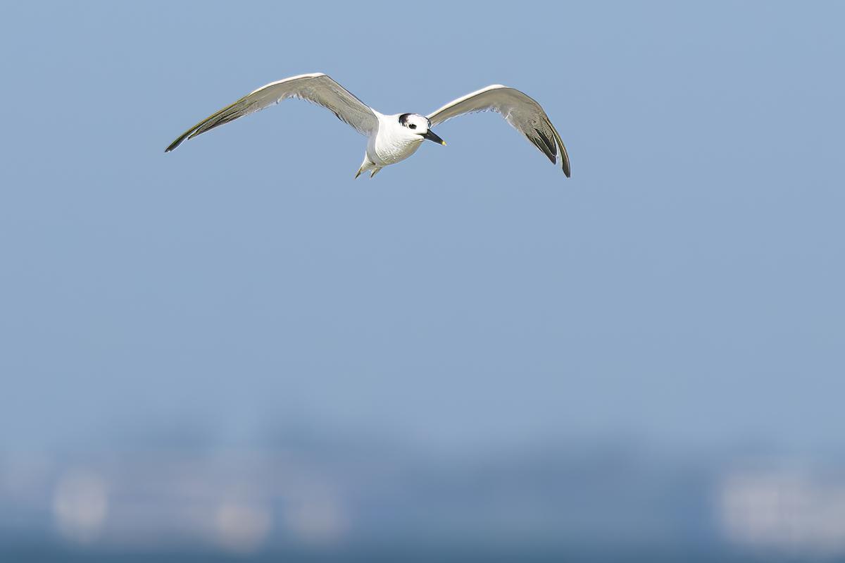 Vacation FM 2025-526-Edit.jpg