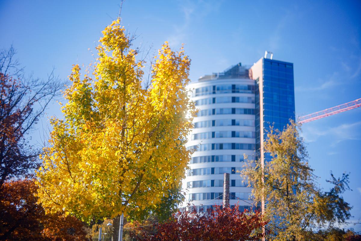 AC_Petri_Orikkor_4-5cm_914 Kopie.jpg