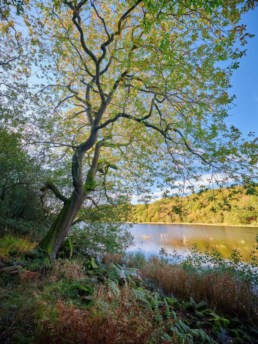 DSCF4631.jpg